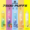 🔋【XIAOKE 梟客】拋棄式一次性霧化商品 7500口🔋