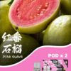 🧸SP2s Max彈 (一盒兩顆)🧸