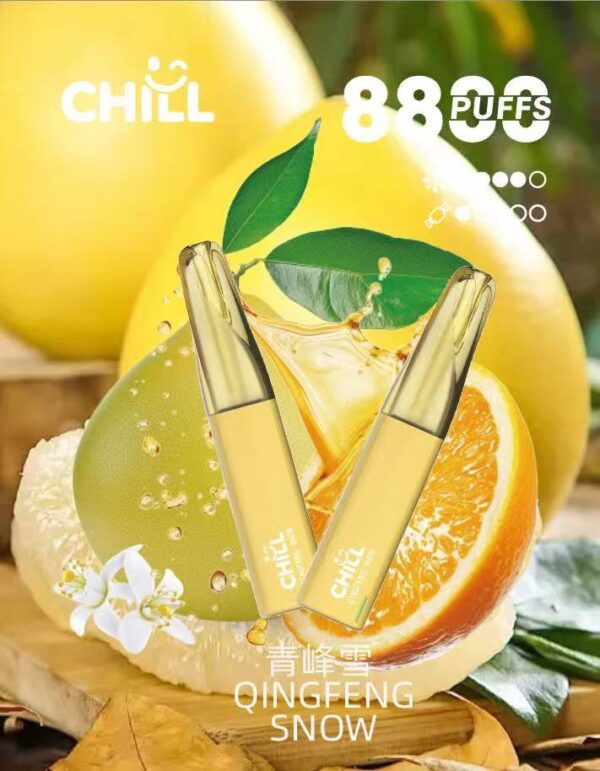 🔋CHILL拋棄式😉8800口🔋8ml大容量熱門爆款🔥限時活動買10支送1支